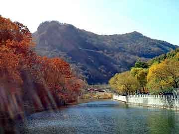 管家婆黑白马报图库，夺天